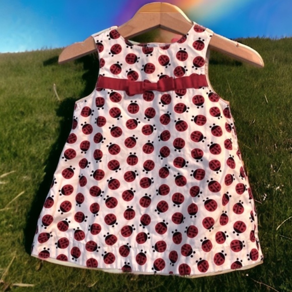 Gymboree Flitter Flutter Ladybug Jumper Dress 3-6M